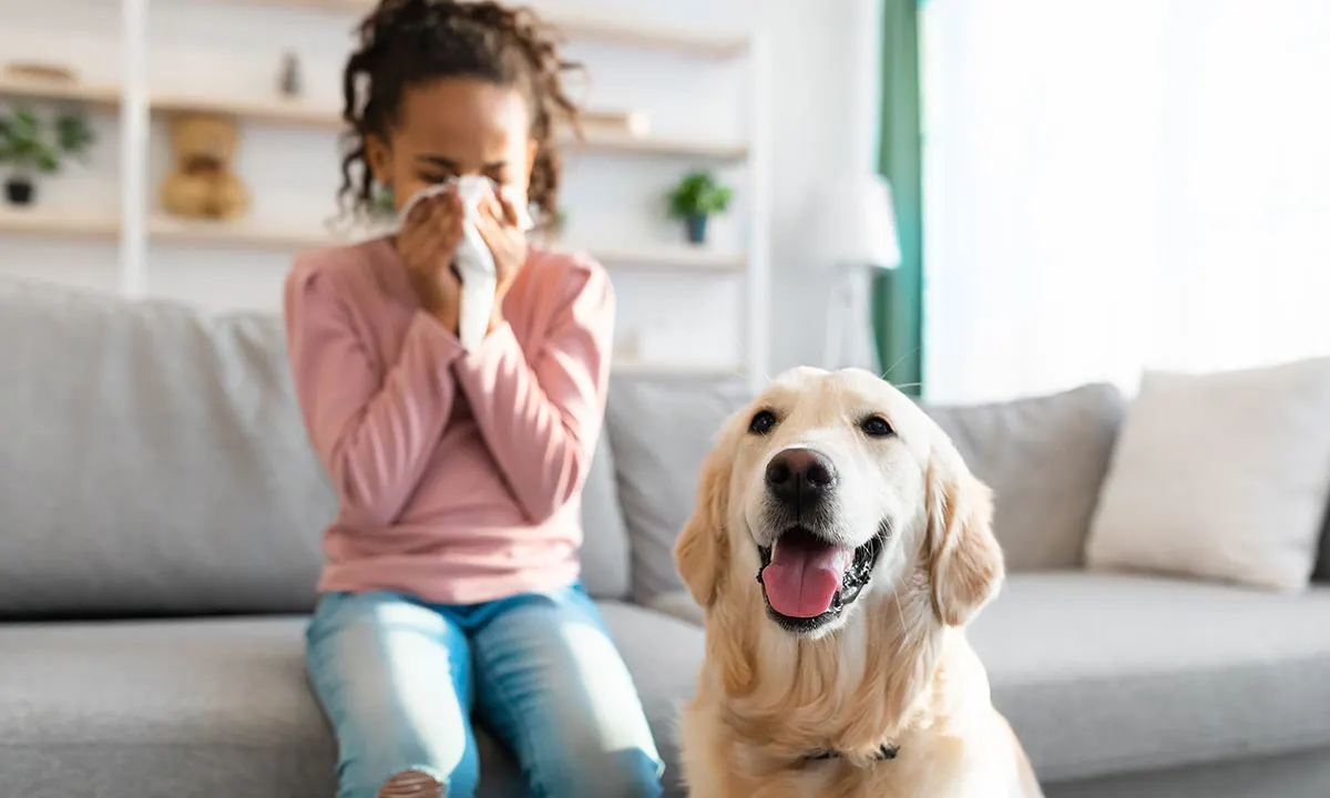 Dog Breeds for Allergy Sufferers