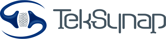 TekSynap Internship Summer Program- Marketing & Communications