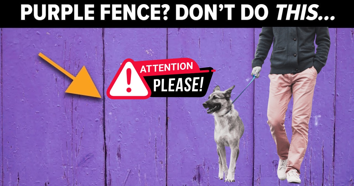 If you see a purple fence post, you need to know what it means for you and your dog!